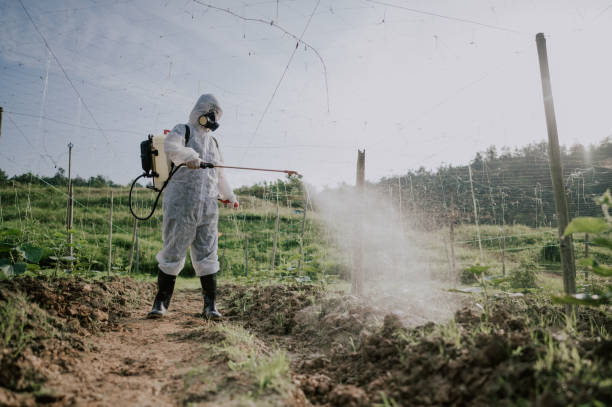 Best Best Pest Control Companies  in Morrisville, VT