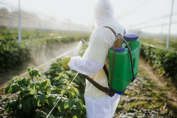 Insect Control in Morrisville, VT